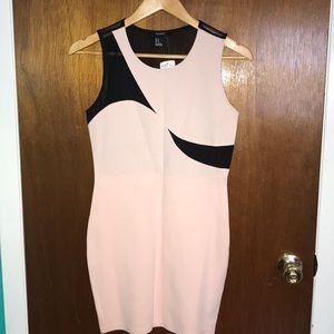 Forever 21 Dress - Dusty Pink/Black Mesh